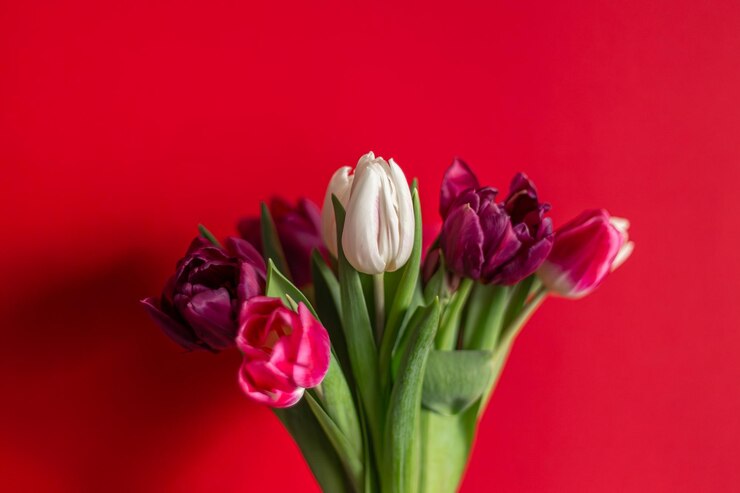 Foto gratuito giorno delle donne, giorno delle madri, bouquet di tulipani, primo piano, sfondo primaverile