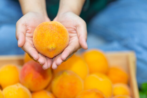 Giovane agricoltore che tiene le pesche