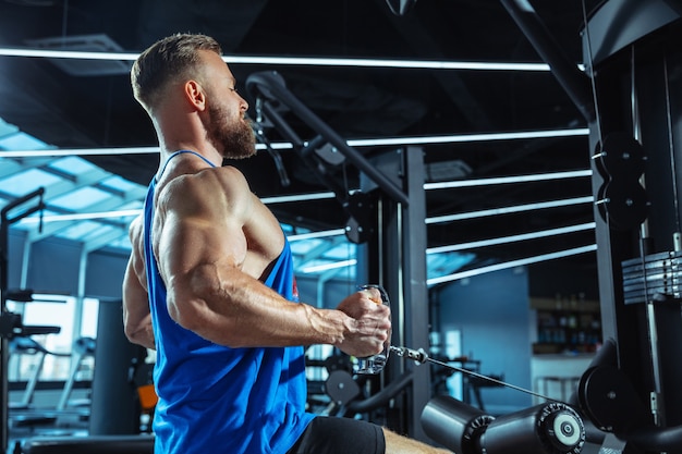 Giovane atleta caucasico muscoloso allenamento in palestra, facendo esercizi di forza, praticando, lavorando sulla parte superiore del corpo, tirando pesi e bilancieri. Fitness, benessere, concetto di stile di vita sano, lavoro.