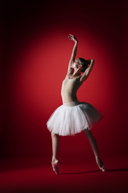 Giovane ballerino di balletto femminile grazioso o ballerina classica che balla allo studio rosso.