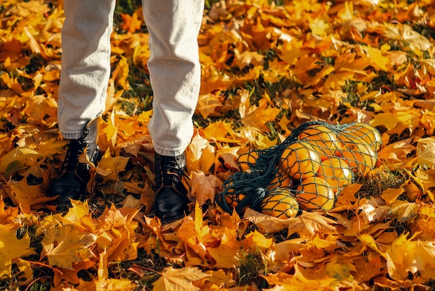 Giovane bella donna con un cappello in un parco autunnale, una borsa di corda con arance, una donna vomita foglie d'autunno. Umore autunnale, colori vivaci della natura.