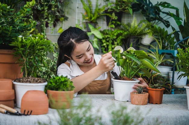 Giovane donna asiatica del giardiniere che indossa un grembiule che usa la pala per trapiantare piante d'appartamento e cactus