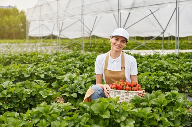 Giovane donna che raccoglie fragole in serra