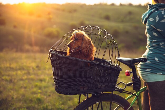 Giovane donna che si diverte vicino al parco di campagna, andare in bicicletta, viaggiare al giorno di primavera