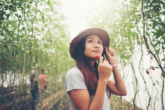 Giovane donna in una serra con pomodori biologici, raccolta.