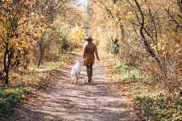 Foto gratuito giovane donna nel parco con il suo cane bianco