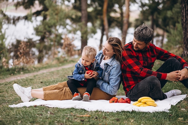 Giovane famiglia nel parco con piscnic