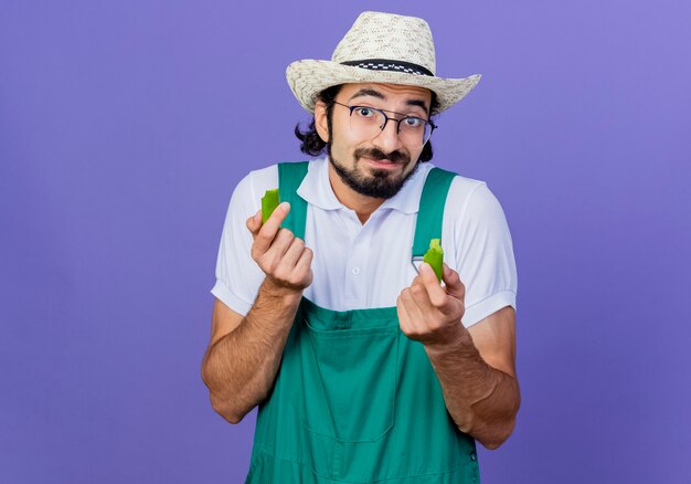 Giovane giardiniere barbuto uomo che indossa tuta e cappello tenendo le metà del peperoncino verde guardando davanti sorridente in piedi sopra la parete blu