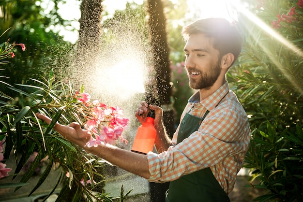Giovane giardiniere bello sorridente, irrigazione, prendersi cura dei fiori Chiarore del sole sullo sfondo.