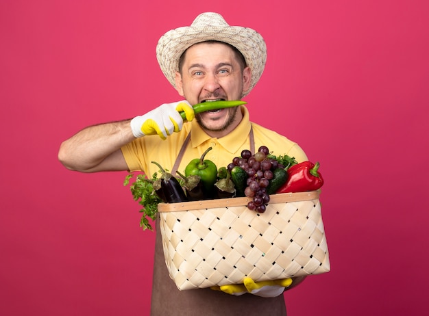 Giovane giardiniere che indossa tuta e cappello in guanti da lavoro tenendo la cassa piena di verdure mordere il peperoncino verde in piedi sopra il muro rosa