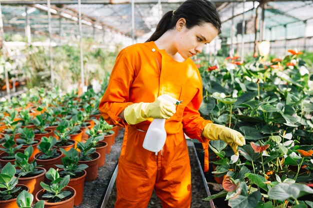 Giovane giardiniere femminile con la pianta d&#39;esame della bottiglia dello spruzzo in serra