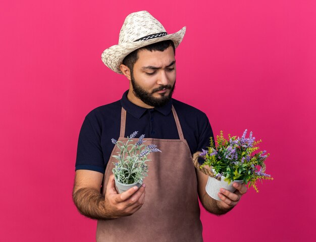 giovane giardiniere maschio caucasico senza tracce che indossa cappello da giardinaggio tenendo e guardando vasi di fiori isolati sulla parete rosa con spazio di copia