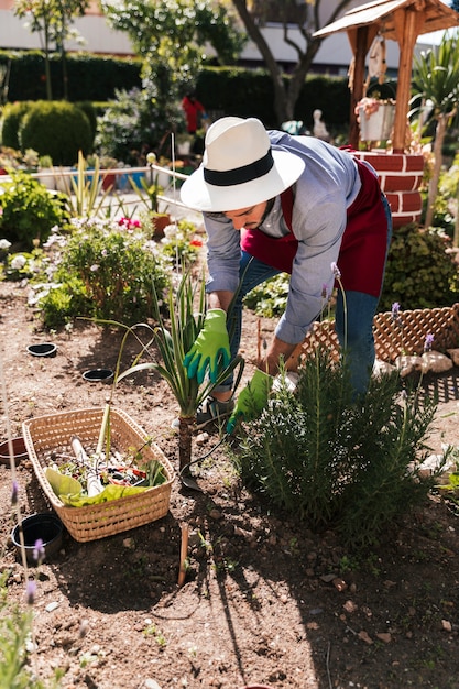 Giovane giardiniere maschio che pianta la pianta nel giardino