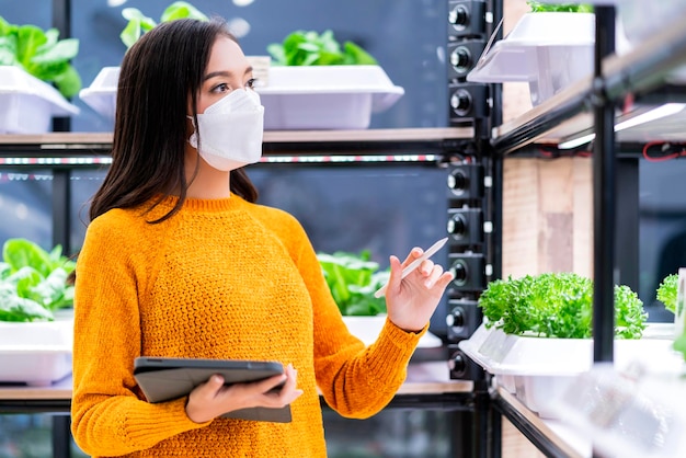 Giovane imprenditore asiatico femmina proprietario di una piccola impresa avvia la mano utilizzando tablet controllando il controllo di qualità della pila di ortaggi idroponici in una fattoria idroponica biologicaNuova fattoria di piante da serra