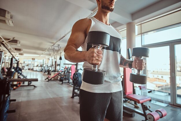 Giovane uomo muscoloso sta facendo esercizi con manubri nella soleggiata palestra.