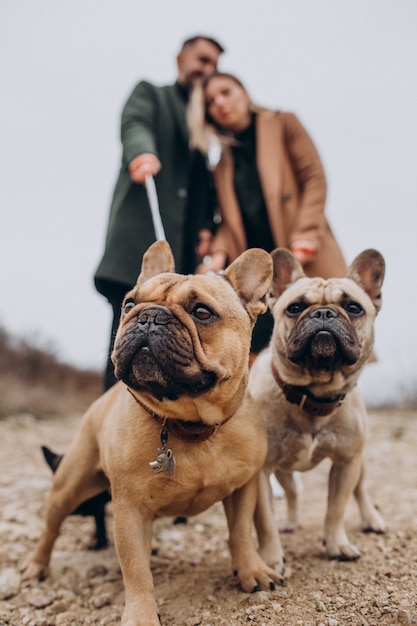 Giovani coppie che camminano i loro bulldog francesi in parco