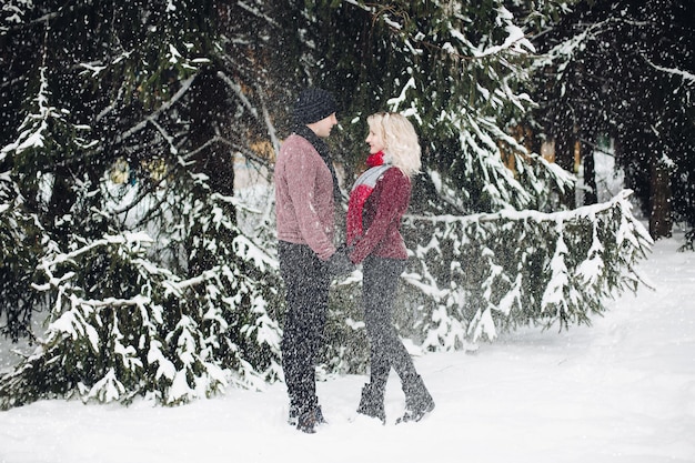 Giovani coppie che stanno e che si guardano nella foresta di neve. La moglie bionda e suo marito indossano maglioni rossi. Donna con capelli voluminosi che toccano il suo altro significativo. Concetto di tenerezza.