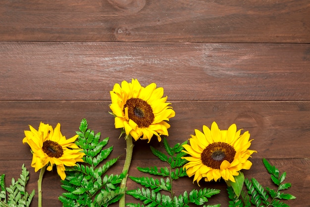 Girasoli e foglie di felce su fondo di legno