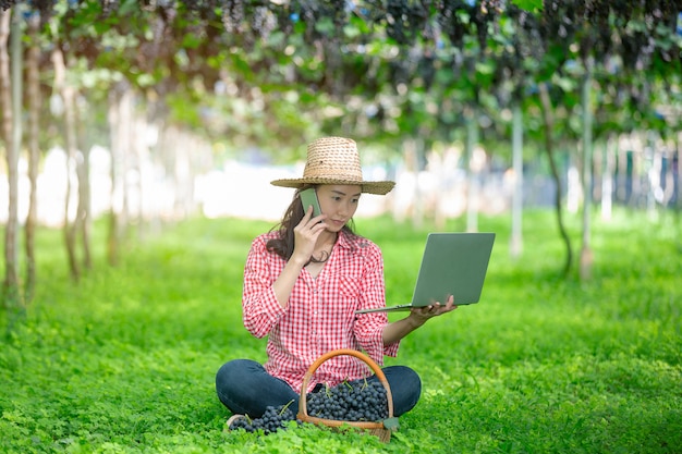 Gli agricoltori sono felici di vendere uva da mercato online