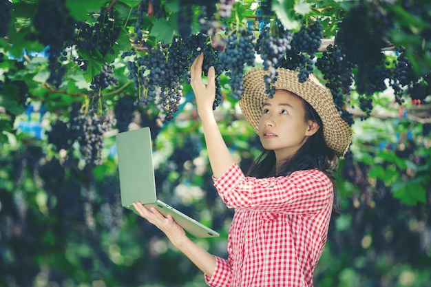 Gli agricoltori sono felici di vendere uva da mercato online