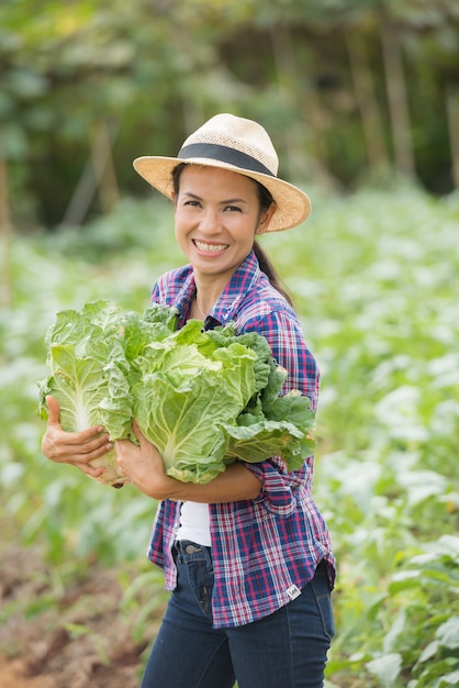 Gli agricoltori stanno lavorando nella fattoria dei cavoli cinesi