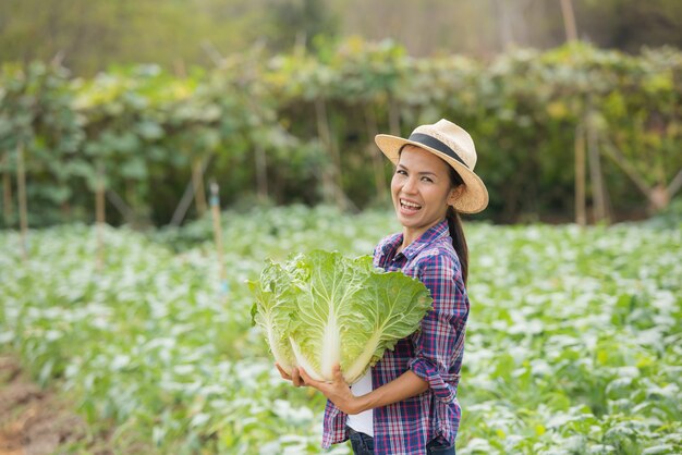 Gli agricoltori stanno lavorando nella fattoria dei cavoli cinesi