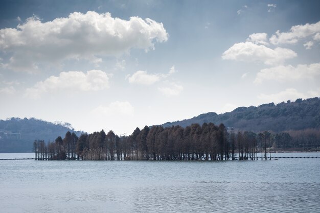 Gli alberi fuori dall&#39;acqua