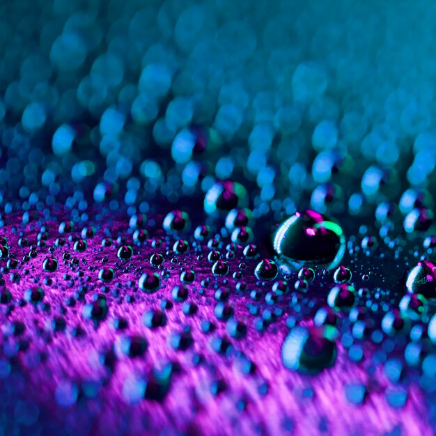 Goccioline di acqua trasparente macro su sfondo scuro e luminoso