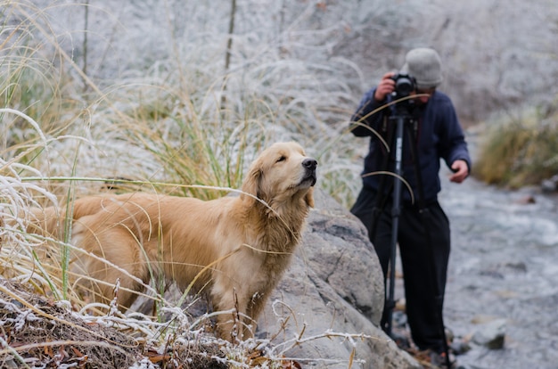 Golden Retriever con un giovane fotografo maschio che cattura fotografia
