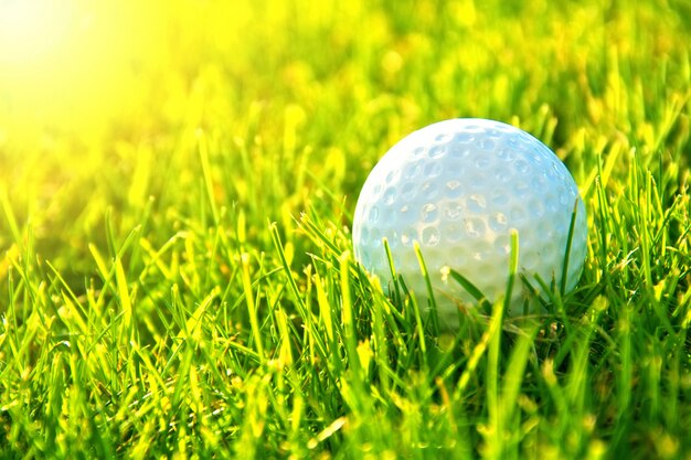 Golf gioco.