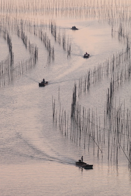 Gommoni che navigano sul fiume con canne, luce del tramonto