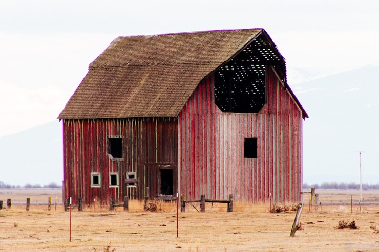 Foto gratuito granaio di legno rosso in un grande campo