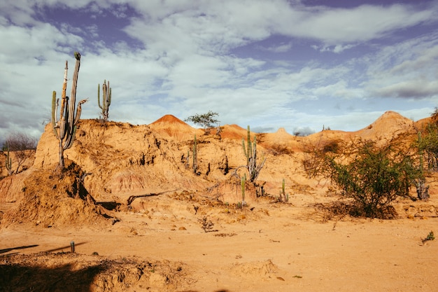 Grande montagna rocciosa nel deserto