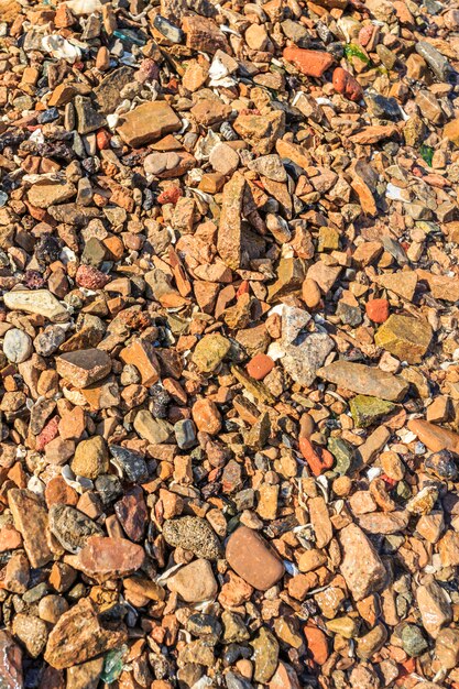 Grande orizzonte spiaggia bella acqua gialla