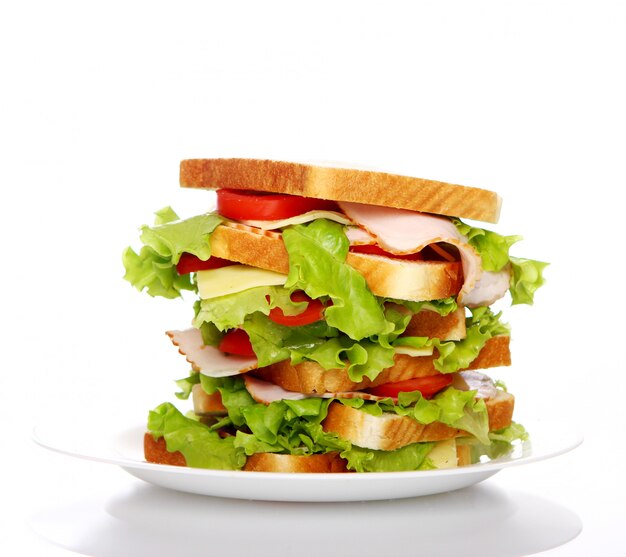 Grande sandwich sul piatto