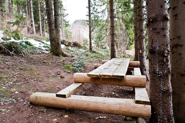 Grande tavolo forestale in legno nelle montagne dei Carpazi