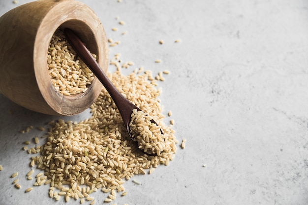 Grano di farro biologico crudo con cucchiaio