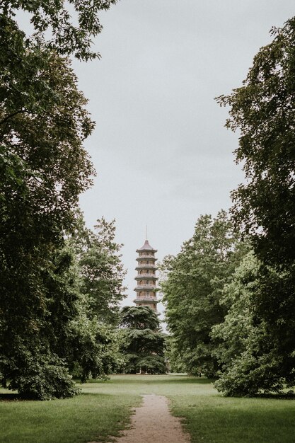 Grano di pellicola retrò della torre estetica, a Kew Garden, Londra