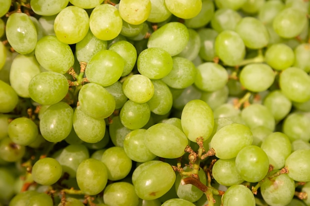 Grappolo di uva succosa matura fresca verde come sfondo da vicino