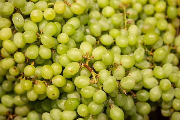 Grappolo di uva succosa matura fresca verde come sfondo da vicino
