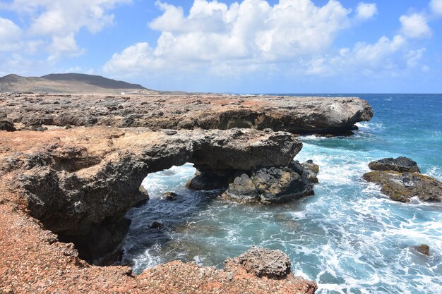 Graziosa costa rocciosa sulle rive delle limpide acque blu di Aruba