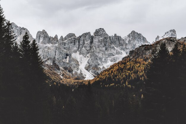 Grey Rocky Mountain