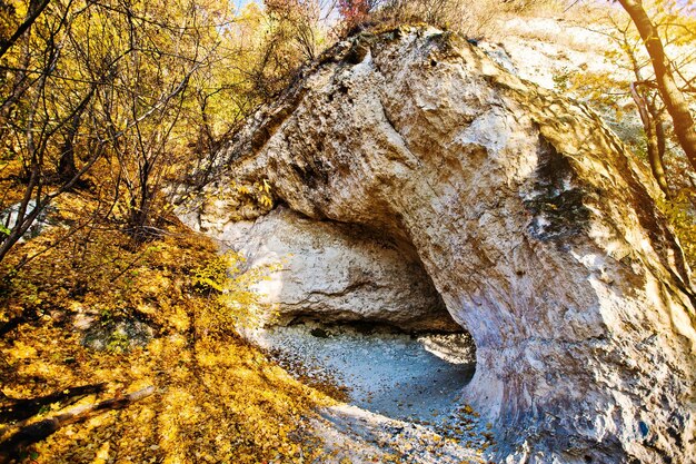 Grotta di montagna calcarea nella foresta di foglie gialle