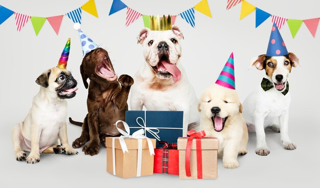 Gruppo di cuccioli che celebra un nuovo anno