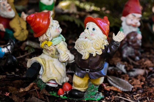 Gruppo di diversi gnomi da giardino divertenti