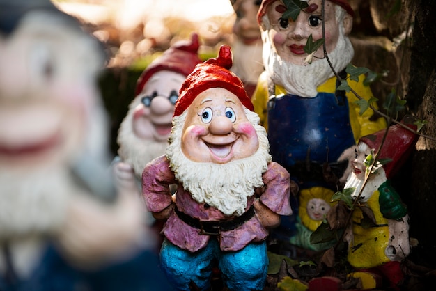 Gruppo di diversi gnomi da giardino divertenti