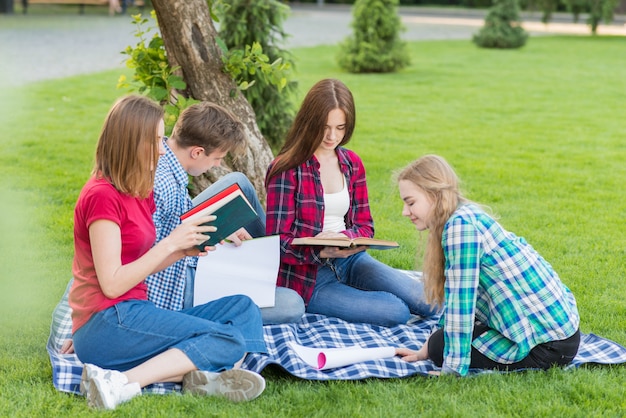 Gruppo di giovani studenti che imparano nel parco