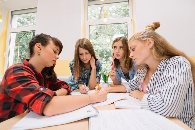 Gruppo di ragazze che studiano in biblioteca