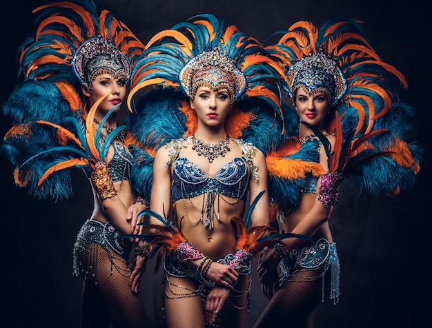 Gruppo di ragazze sexy in un vestito di piume di carnevale sontuoso colorato, in posa su uno sfondo scuro.