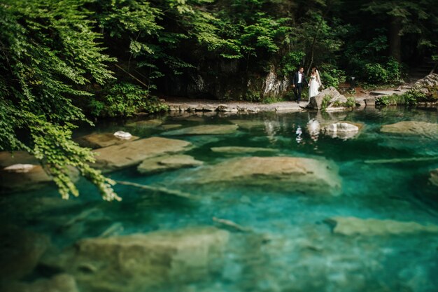 Guarda da lontano gli sposi che camminano prima delle rocce e l